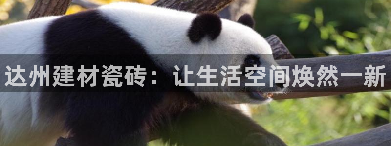 杏鑫娱乐平台测速