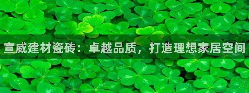 杏鑫平台代理注册流程视频