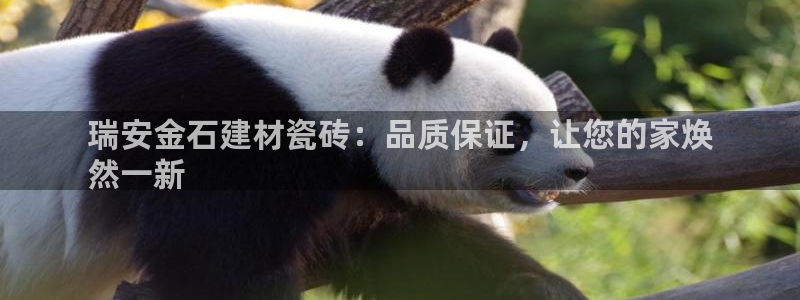 杏鑫官网注册账号密码