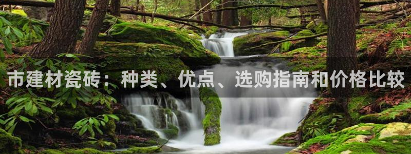 杏鑫娱乐多少年了