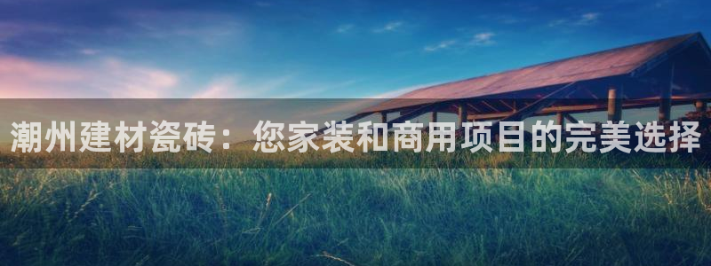 杏鑫娱乐开发团队
