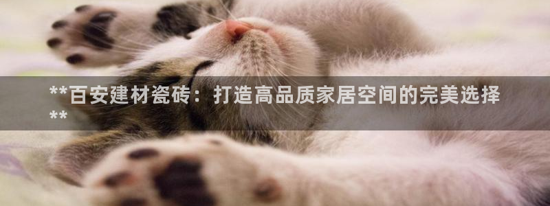 杏鑫官方平台怎么样啊安全吗