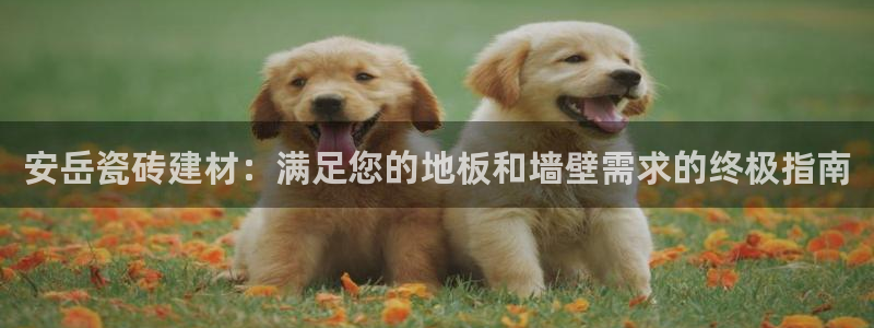 杏鑫平台招商电话是多少