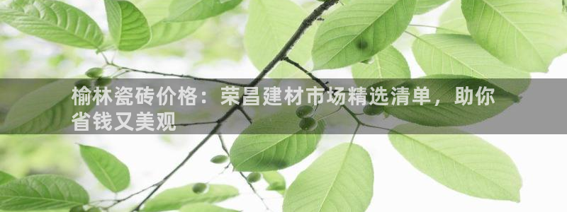 杏鑫平台招商电话号码是多少
