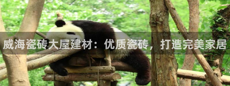 杏鑫平台测速怎么样