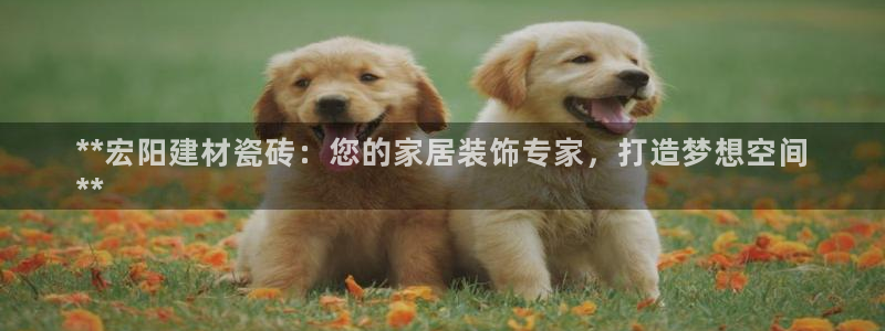 杏鑫平台怎么样黑钱吗是真的吗还是假的