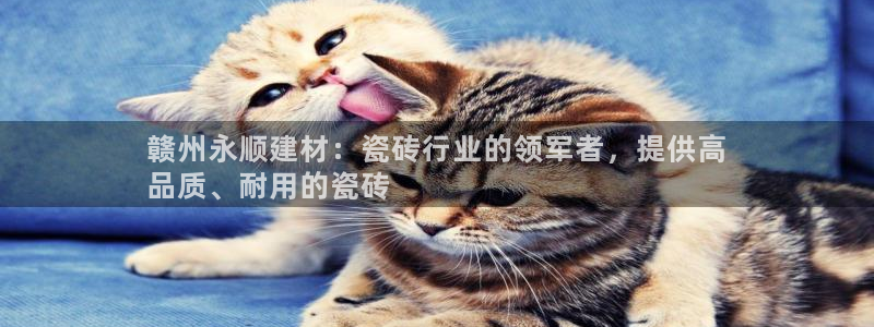 杏鑫平台野马联盟怎么样