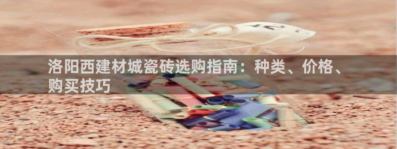 杏鑫主管