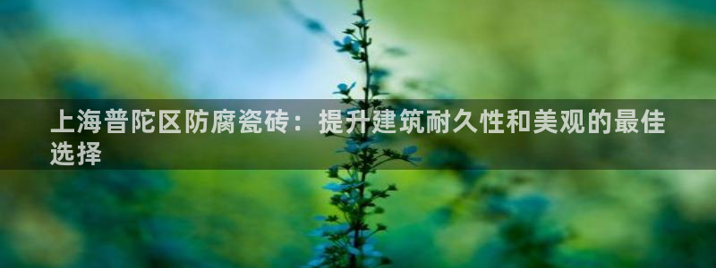 杏鑫平台招商怎么样