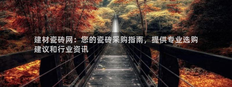 杏鑫手机客户端