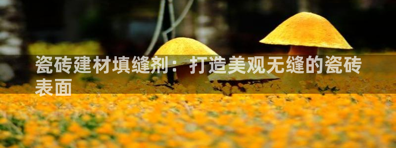 杏鑫平台正规吗是真的吗