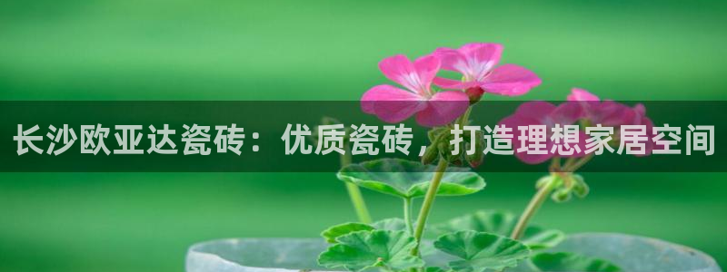 杏鑫平台列7O777