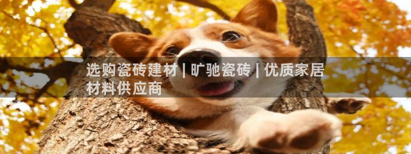 杏鑫娱乐是真的吗还是假的