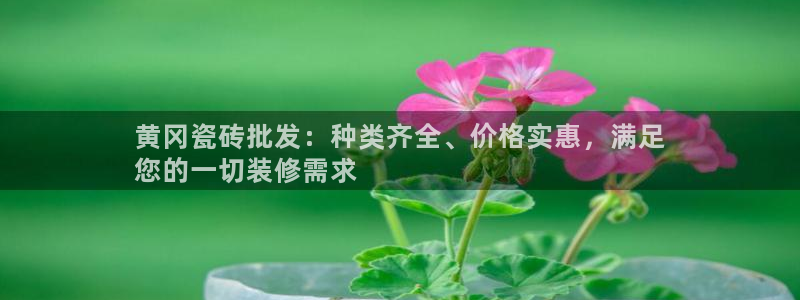 杏鑫官方app代理