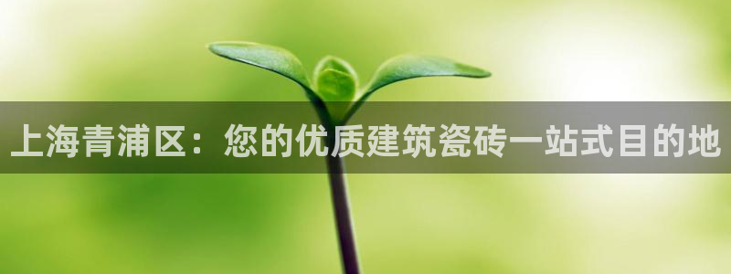 杏鑫娱乐-官方网站