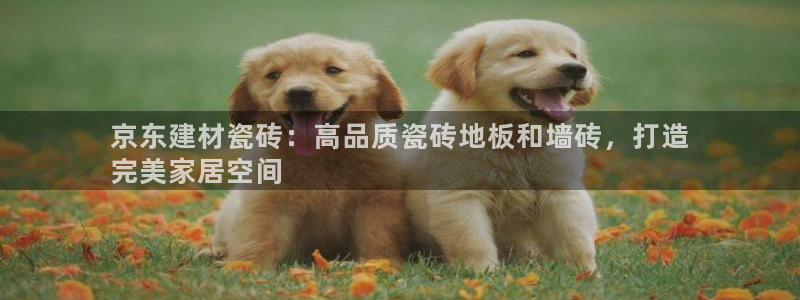 杏鑫平台代理注册登录不了怎么办呀视频