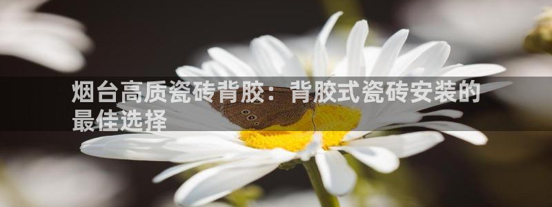 杏鑫平台招商电话号码