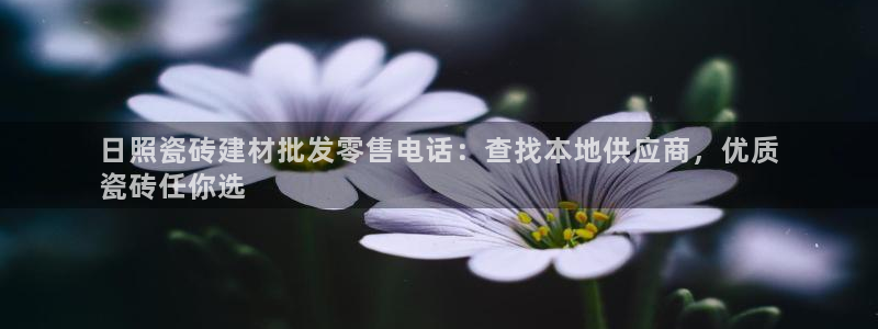 杏鑫平台代理怎么做