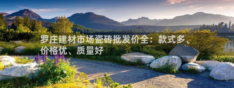 杏鑫平台代理注册流程及费用