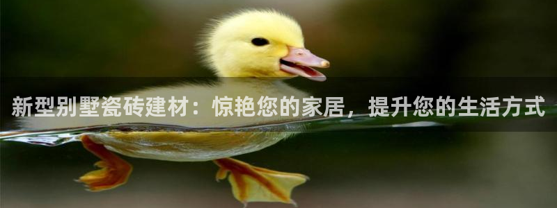 杏鑫平台招商怎么样啊
