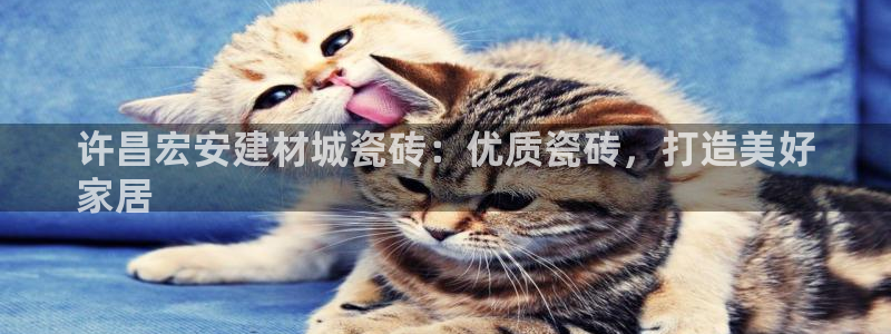 杏鑫平台平台娱乐怎么样