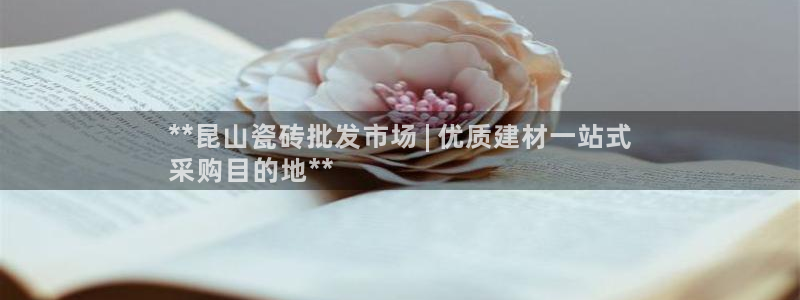 杏鑫平台代理注册流程及费用