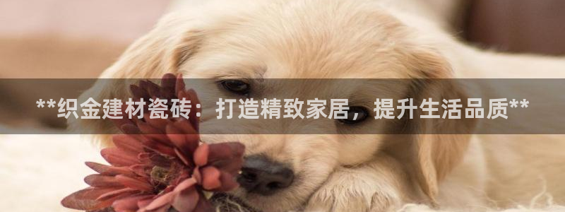 杏鑫平台代理注册多少钱啊