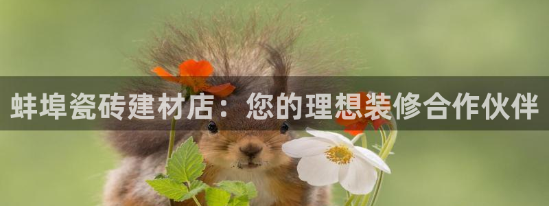 杏鑫平台登录注册