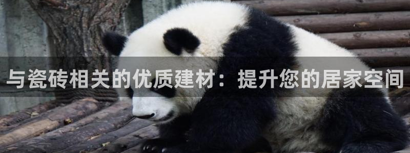 杏鑫平台代理怎么样