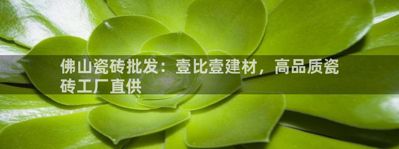 杏鑫平台注册地址是哪里