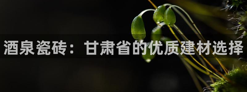 杏鑫平台野马联盟怎么样