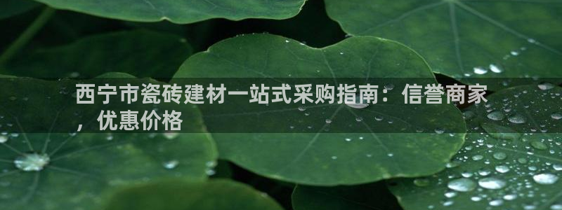 杏鑫平台代理怎么做