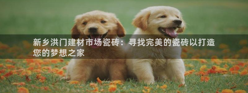 杏鑫3主管