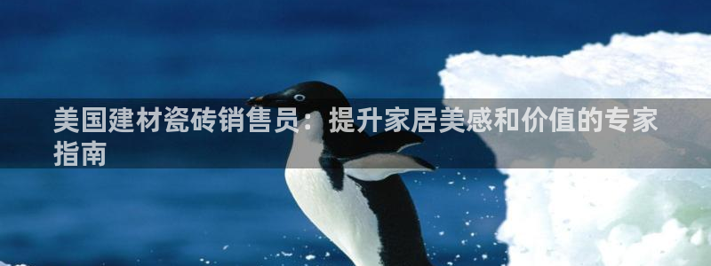 杏鑫平台注册地址是哪里