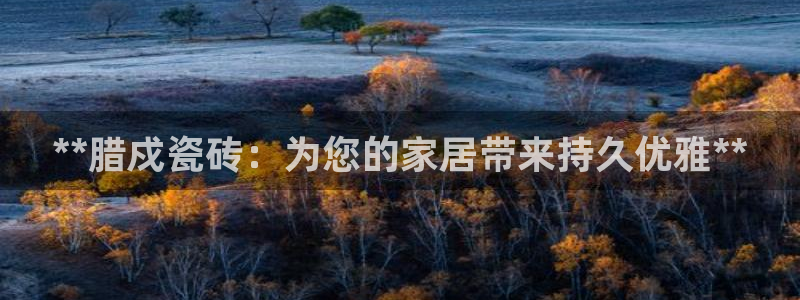 杏鑫平台官方网站
