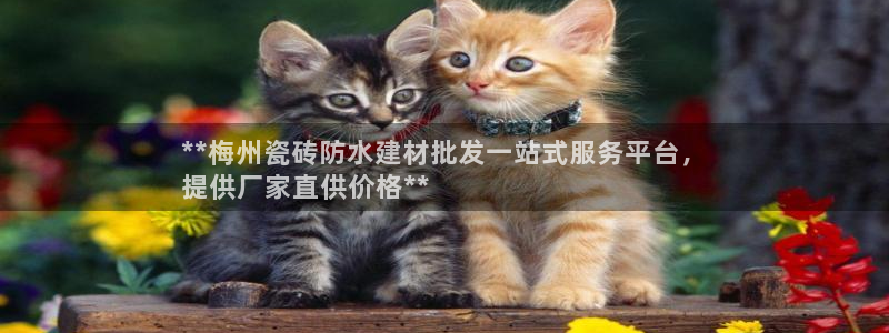 杏鑫注册平台官方网站