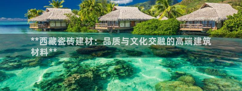 杏鑫平台代理