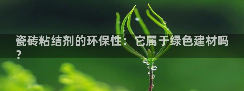 杏鑫3主管