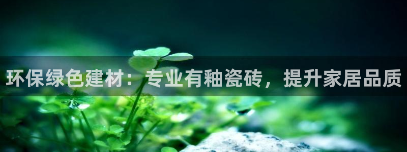 杏鑫平台代理怎么做的