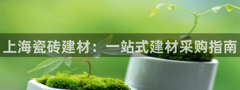 杏鑫平台招商电话是多少