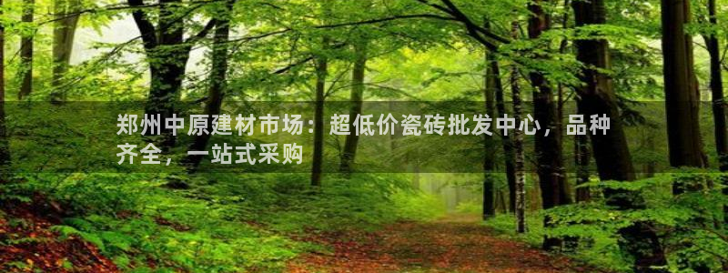 杏鑫平台代理注册流程