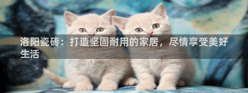 杏鑫平台注册地址