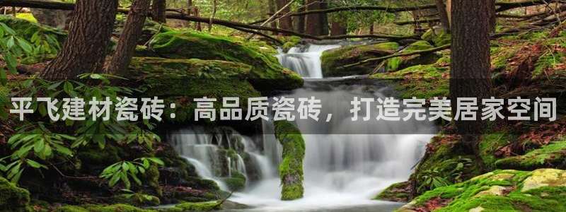 杏鑫平台注册入口