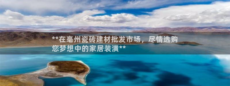 杏鑫主管