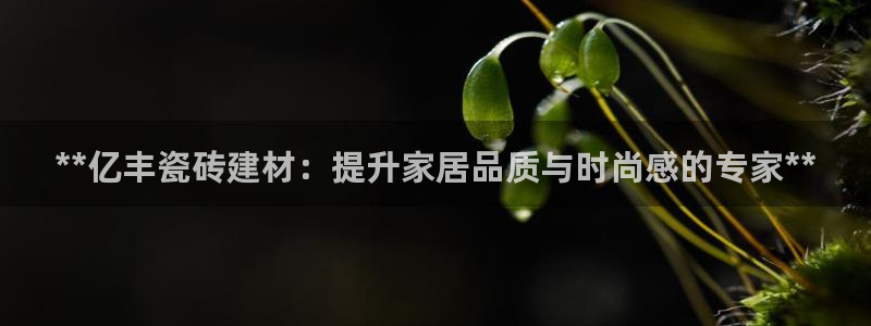 杏鑫娱乐官方网站客户端