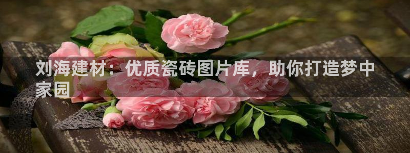 杏鑫娱乐官网首页