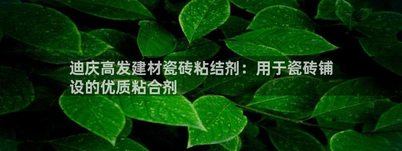 杏鑫平台注册地址