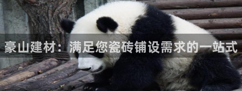 杏鑫注册平台官方网站下载