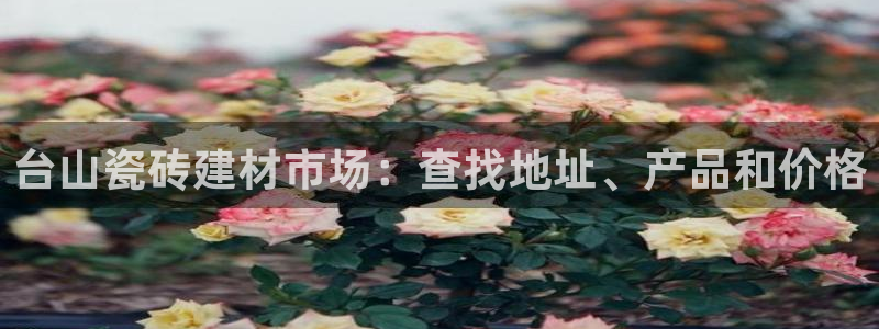 杏鑫主管