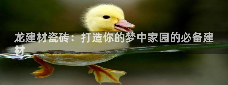杏鑫娱乐官网